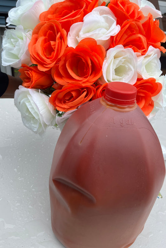 Palm Oil-1-GAL image 0